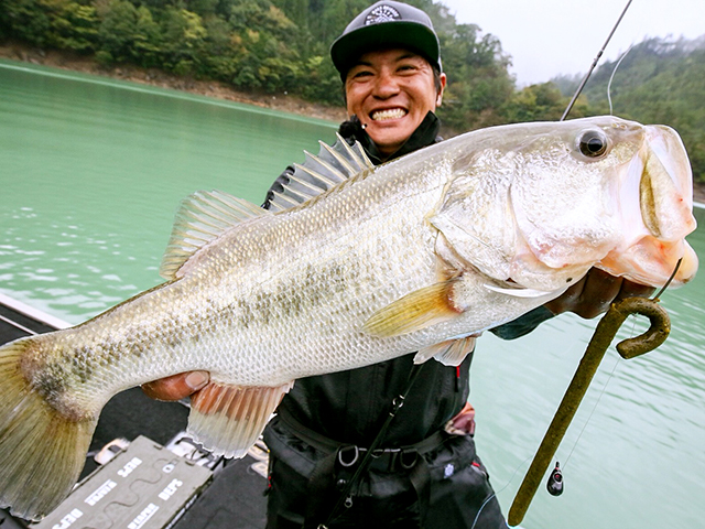 f:id:basssoku:20181122000834j:plain