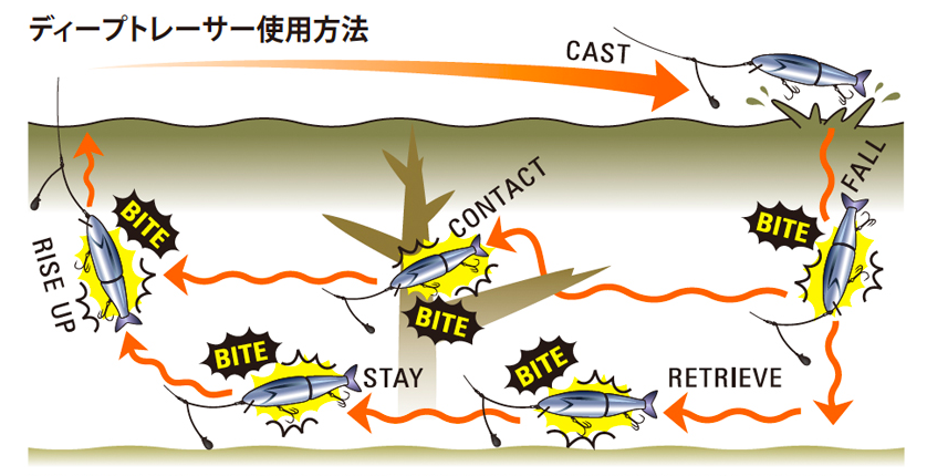 f:id:basssoku:20190201234912p:plain