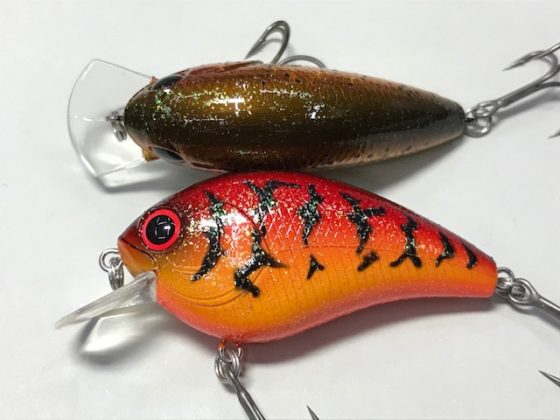 f:id:basssoku:20190206091141j:plain