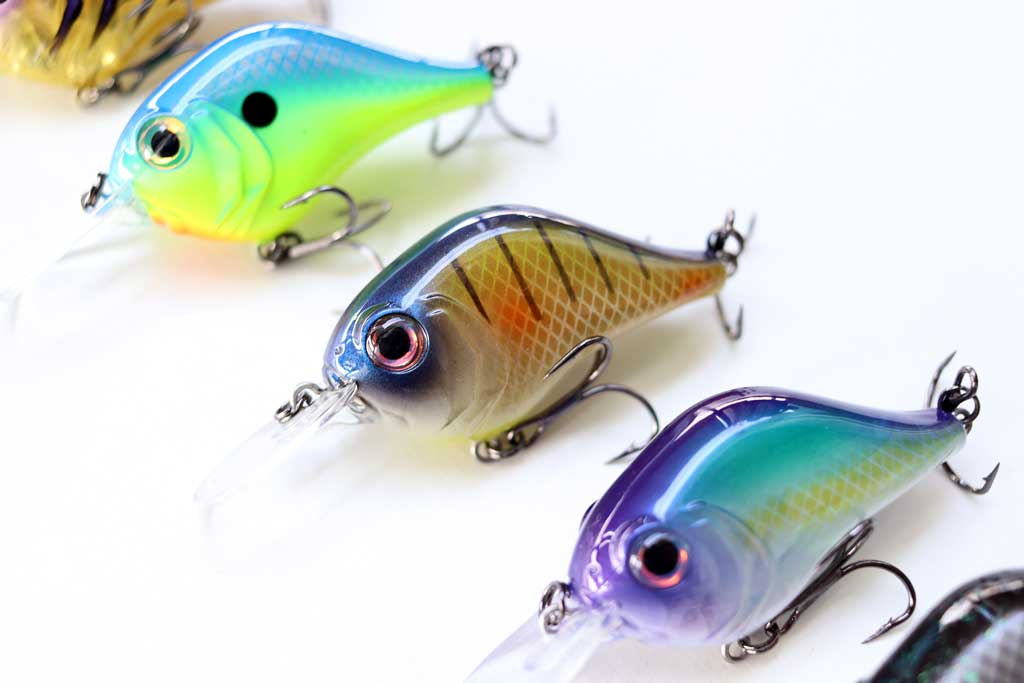 f:id:basssoku:20190224051109j:plain f:id:basssoku:20190224051109j:plain