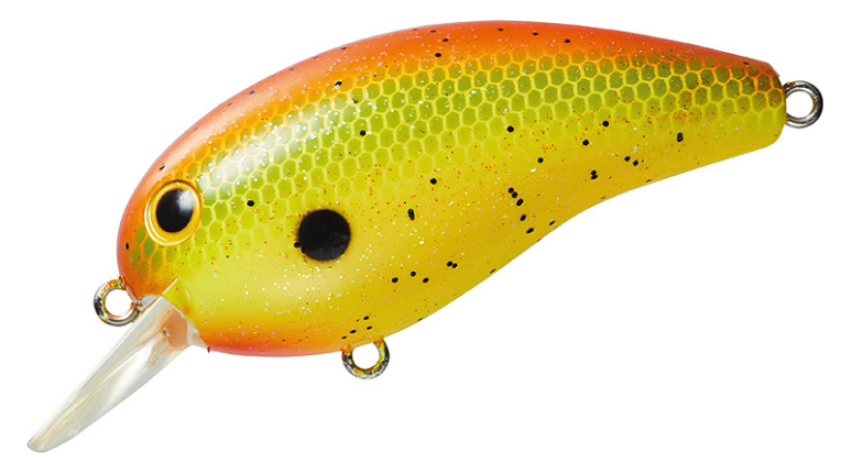 f:id:basssoku:20190401085245p:plain