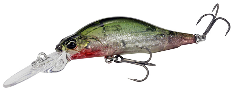 f:id:basssoku:20190413080614j:plain