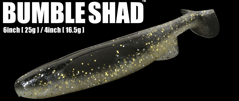 f:id:basssoku:20190421191055j:plain