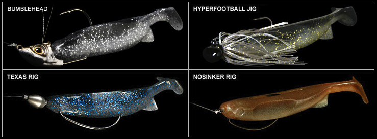 f:id:basssoku:20190421193144p:plain