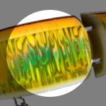 f:id:basssoku:20190422192045j:plain