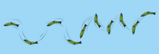 f:id:basssoku:20190422192534p:plain