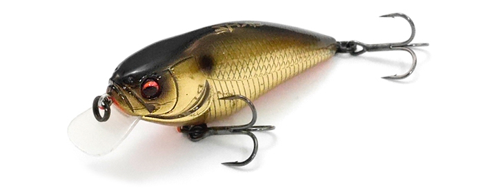 f:id:basssoku:20190515194558j:plain