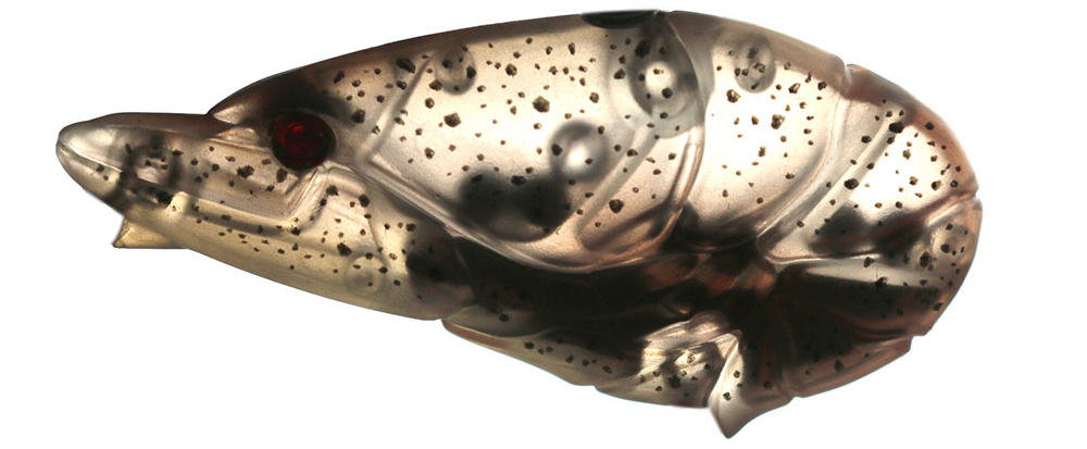 f:id:basssoku:20190516183605j:plain