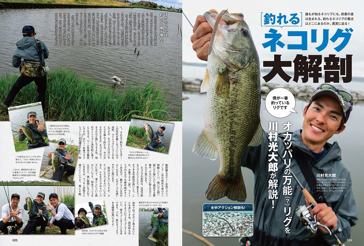 f:id:basssoku:20190611150834j:plain