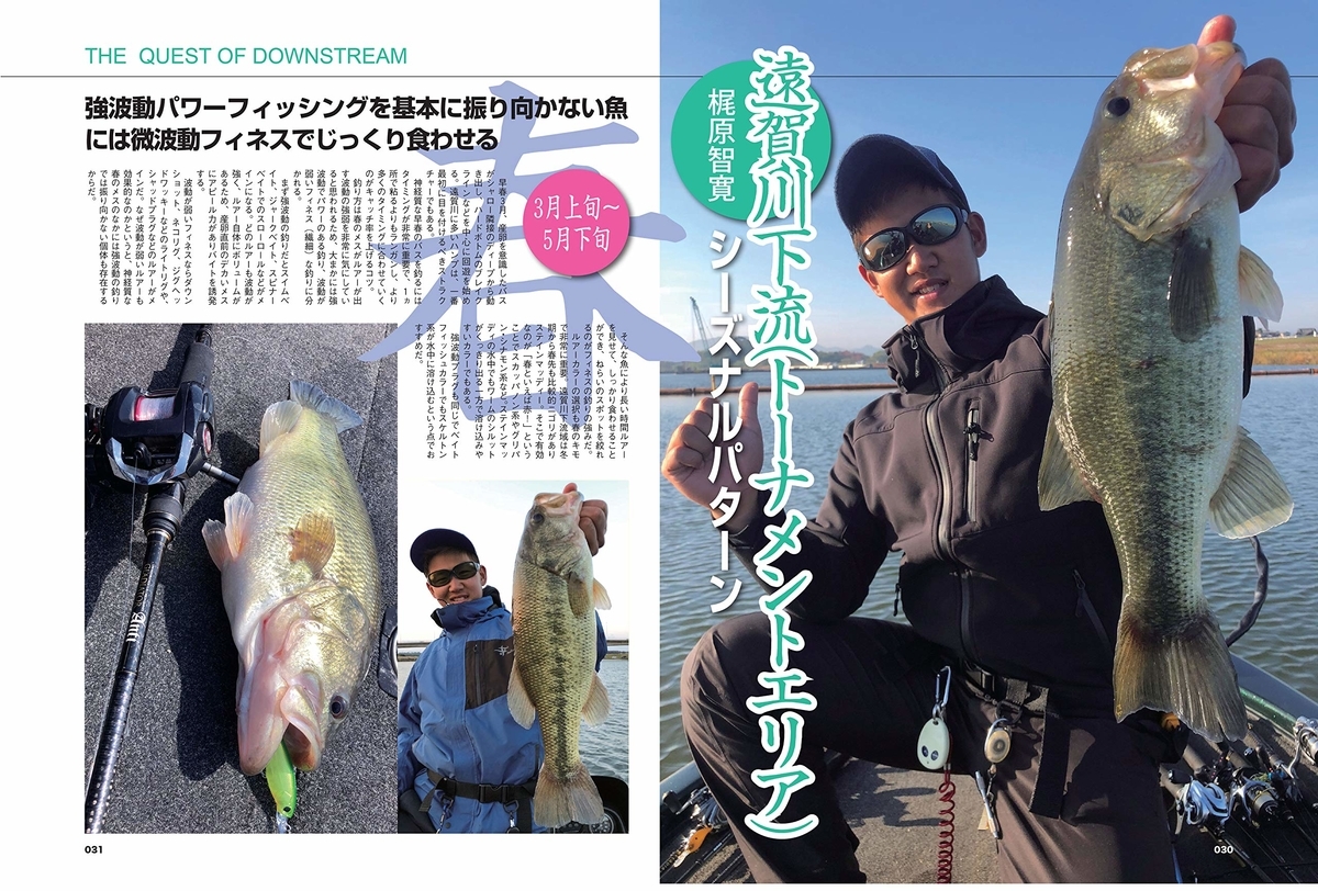 f:id:basssoku:20190611161805j:plain