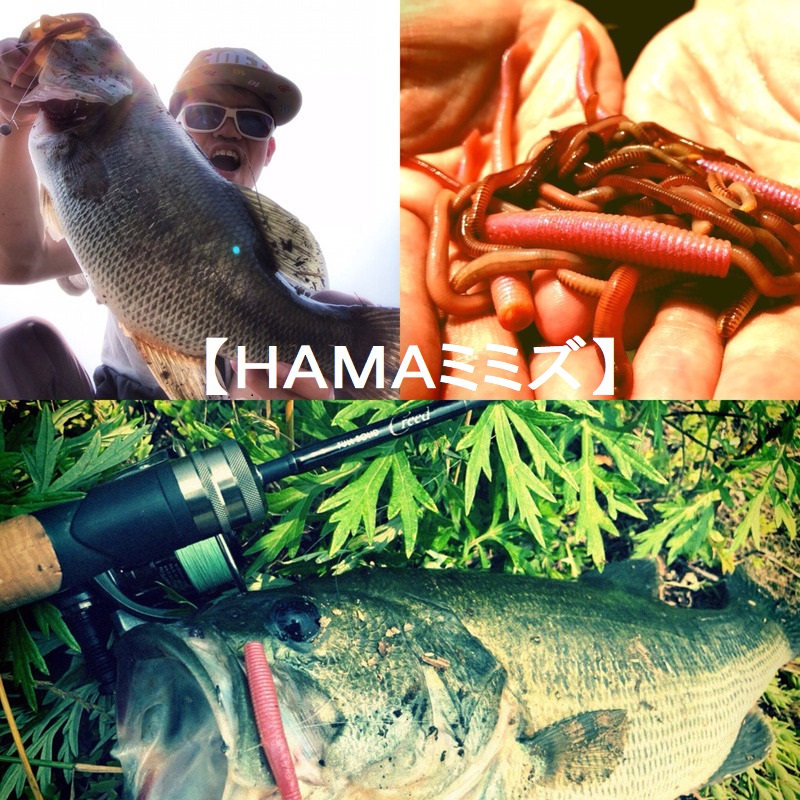 f:id:basssoku:20190625161338j:plain