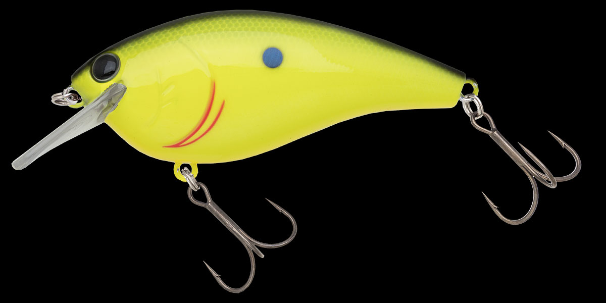 f:id:basssoku:20190725102117j:plain