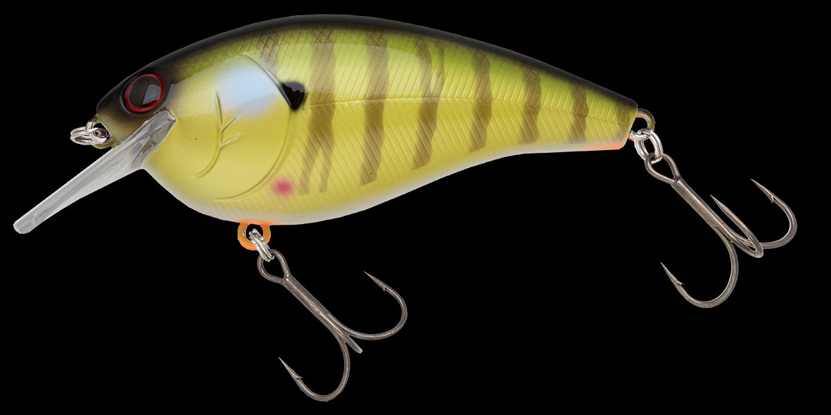 f:id:basssoku:20190725102130j:plain