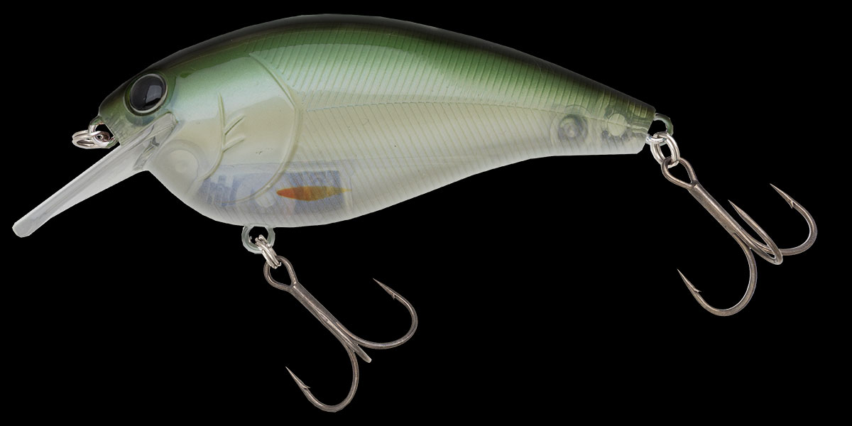 f:id:basssoku:20190725102139j:plain