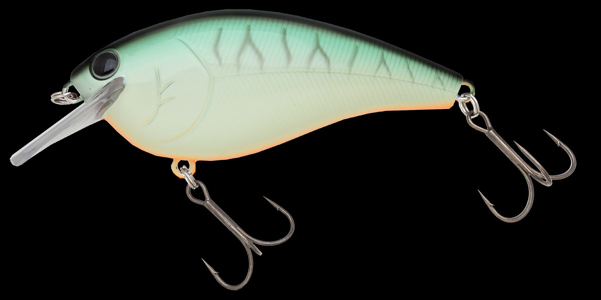 f:id:basssoku:20190725102150j:plain