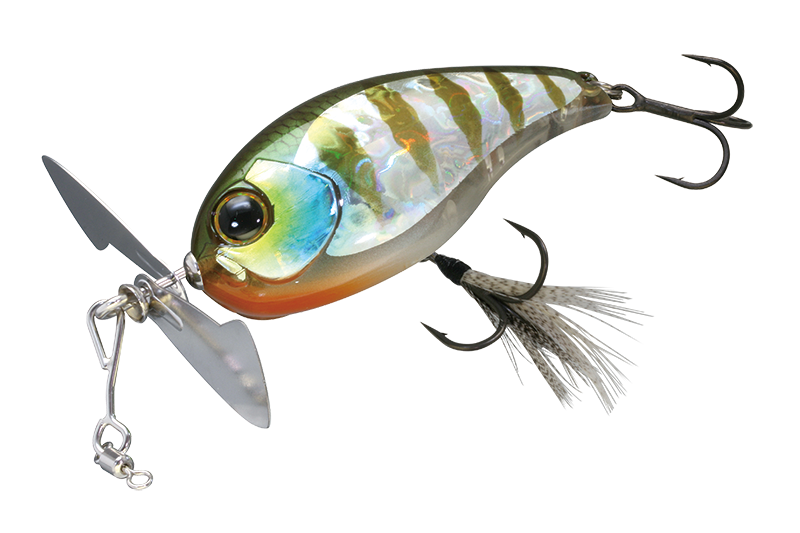 f:id:basssoku:20190809181451p:plain f:id:basssoku:20190809181451p:plain