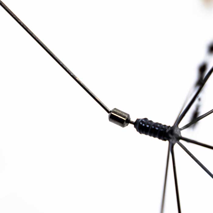 f:id:basssoku:20191015102031j:plain