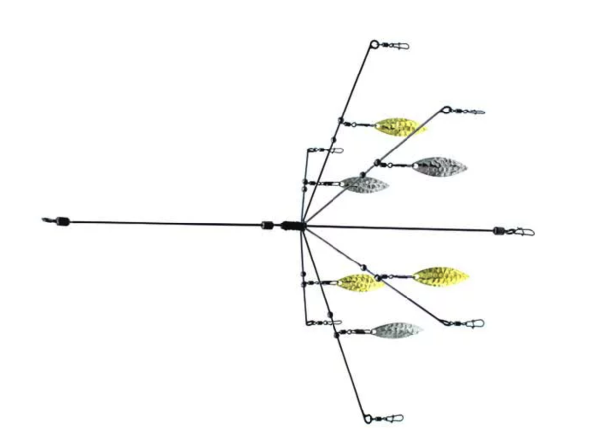 f:id:basssoku:20191015102249p:plain