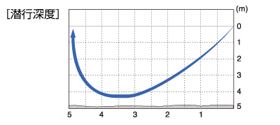 f:id:basssoku:20191110124520j:plain