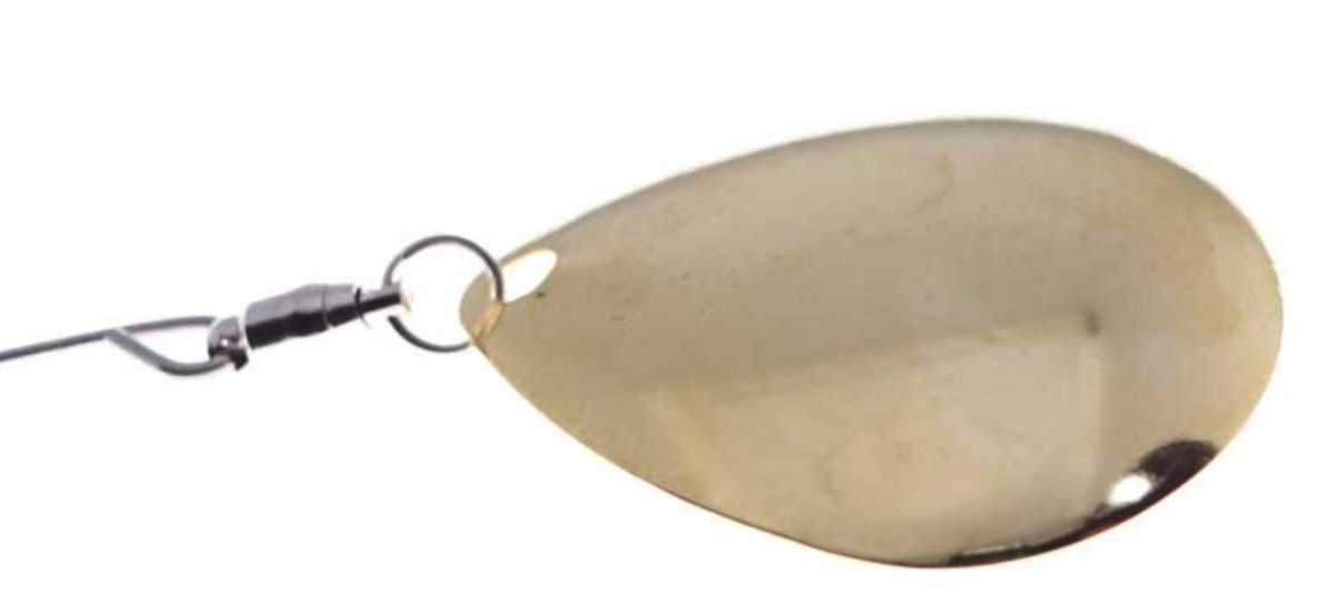 f:id:basssoku:20191217104546p:plain f:id:basssoku:20191217104546p:plain