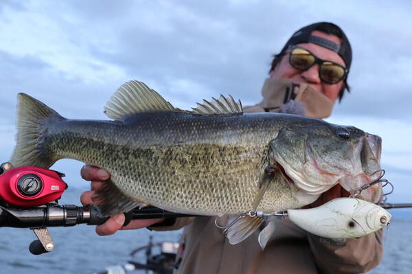 f:id:basssoku:20200109124254j:plain