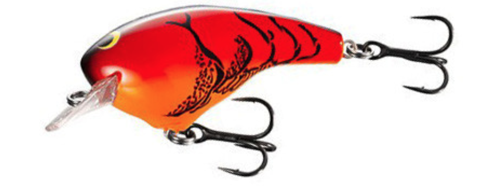 f:id:basssoku:20200403091646p:plain