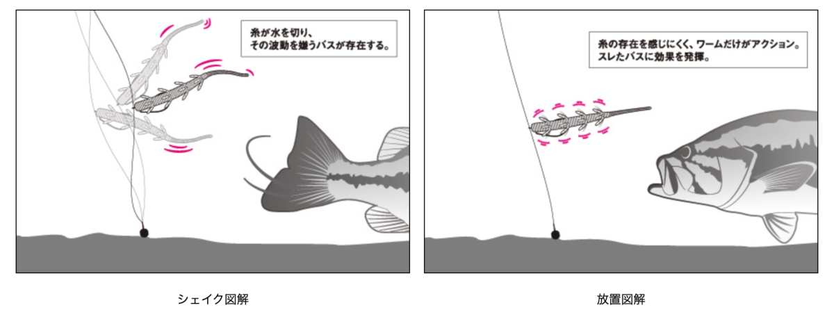 f:id:basssoku:20200416050456p:plain f:id:basssoku:20200416050456p:plain