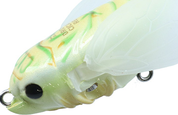 f:id:basssoku:20200511190432j:plain