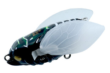 f:id:basssoku:20200511190822j:plain