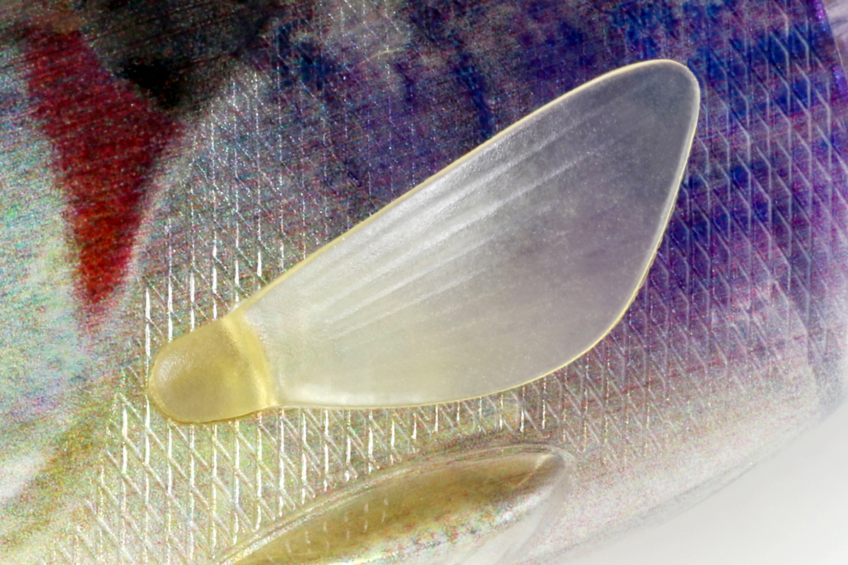 f:id:basssoku:20200514105148j:plain