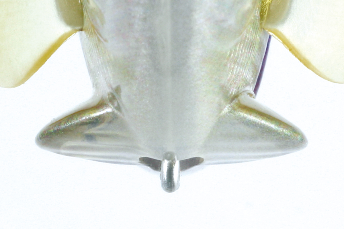 f:id:basssoku:20200514105309j:plain