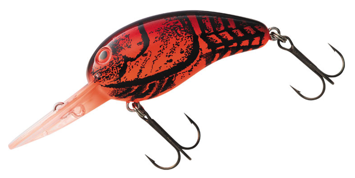 f:id:basssoku:20200713103554p:plain f:id:basssoku:20200713103554p:plain