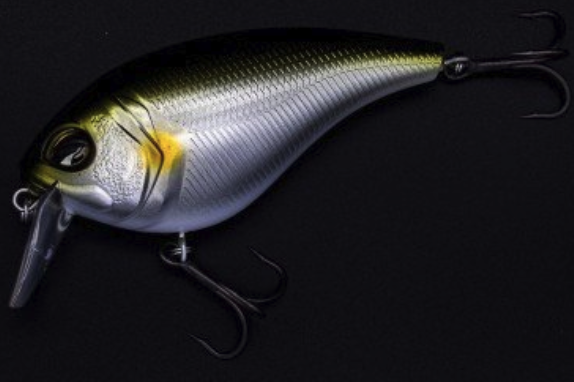 f:id:basssoku:20200726095440p:plain