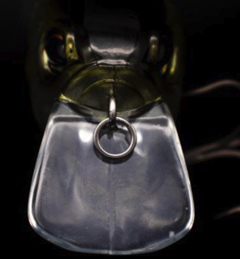 f:id:basssoku:20200726095509p:plain