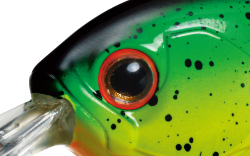 f:id:basssoku:20200810040423j:plain