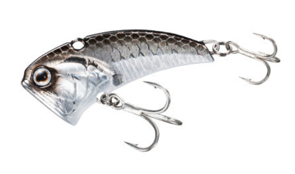 f:id:basssoku:20200811085525p:plain