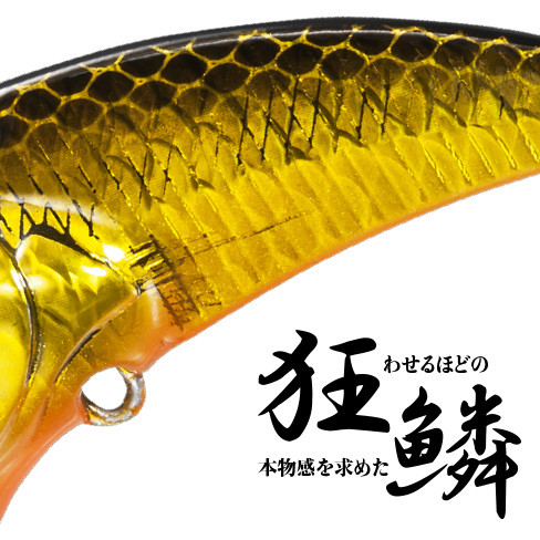 f:id:basssoku:20200811085704j:plain