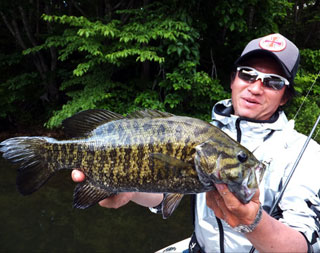 f:id:basssoku:20200901031420j:plain f:id:basssoku:20200901031420j:plain