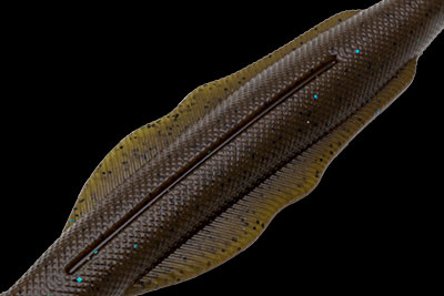 f:id:basssoku:20200905140332j:plain