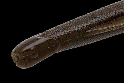 f:id:basssoku:20200905140412j:plain