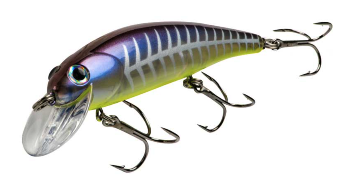 f:id:basssoku:20201003192612p:plain f:id:basssoku:20201003192612p:plain