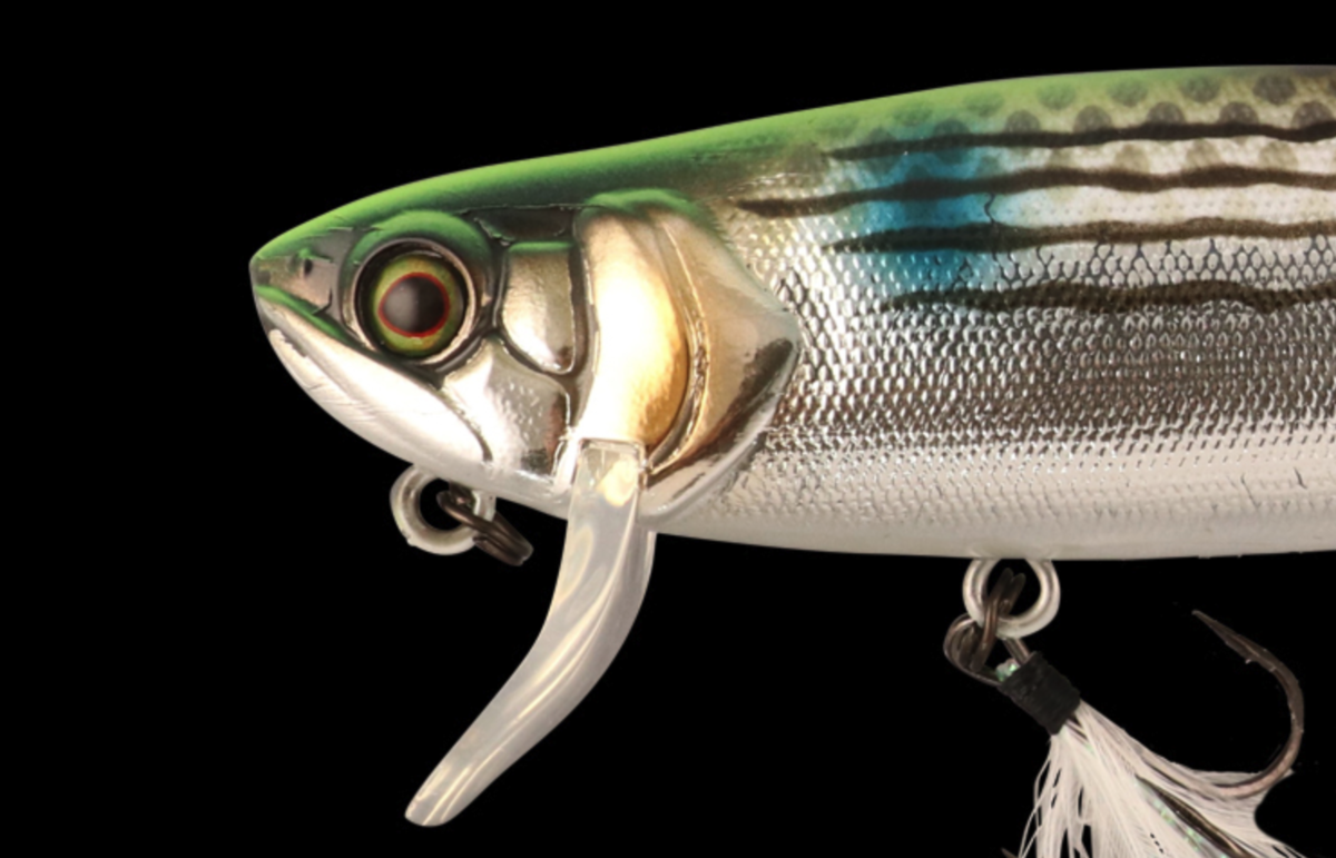 f:id:basssoku:20201004024258p:plain