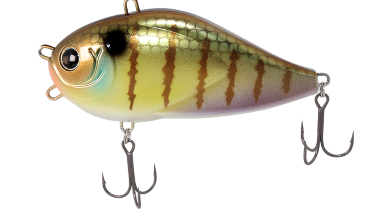 f:id:basssoku:20201009163530p:plain