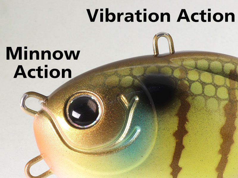 f:id:basssoku:20201009163743j:plain