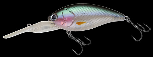 f:id:basssoku:20201113130325j:plain