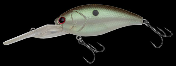 f:id:basssoku:20201113130350j:plain