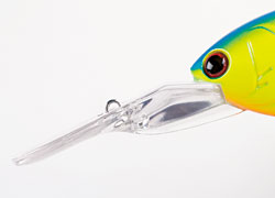 f:id:basssoku:20201113130623j:plain