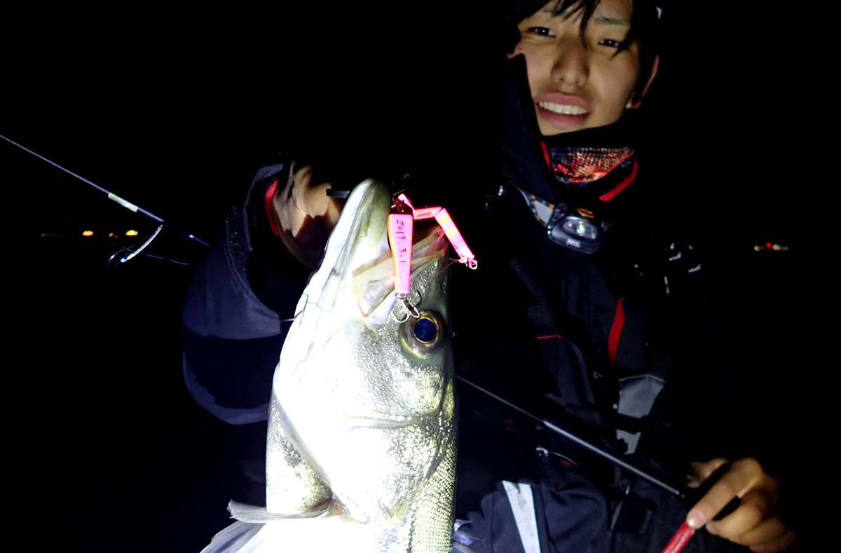 f:id:basssoku:20201127134853j:plain