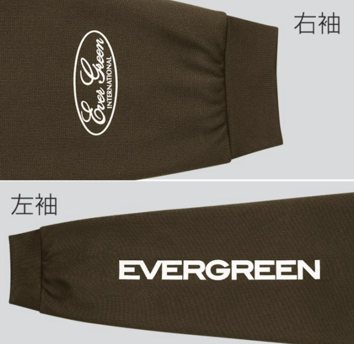 f:id:basssoku:20210117164326p:plain