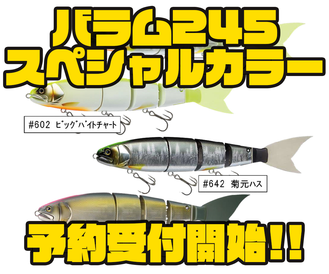 マドネス　エバーグリーン　バラム245 EverGreen エバーグリーン×マドネス バラム245 : フィッシング